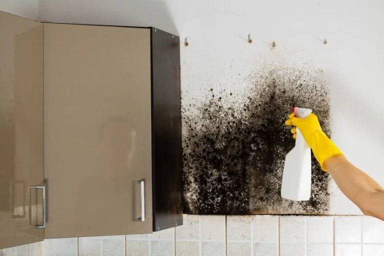 how to remove mold odor effectively