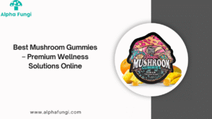 best mushroom gummies