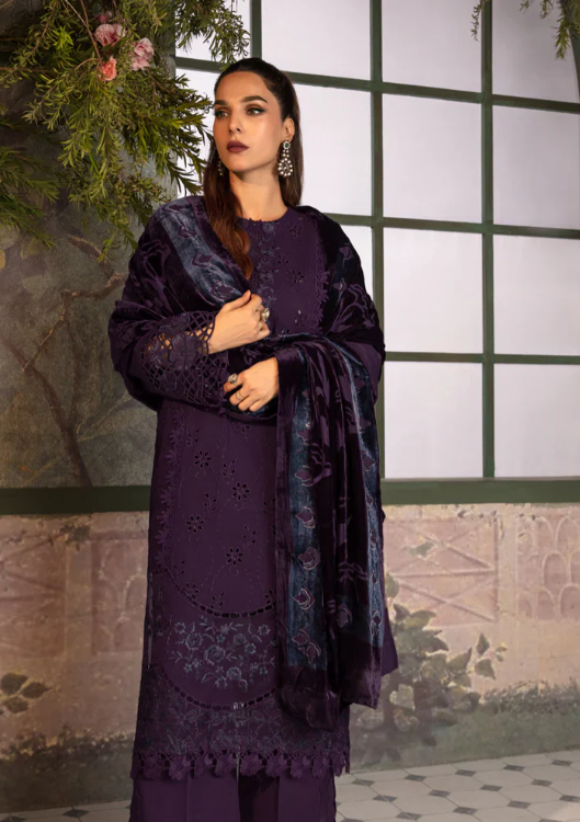 Rang Rasiya collection