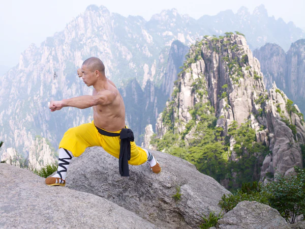 Meaning of Shaolin