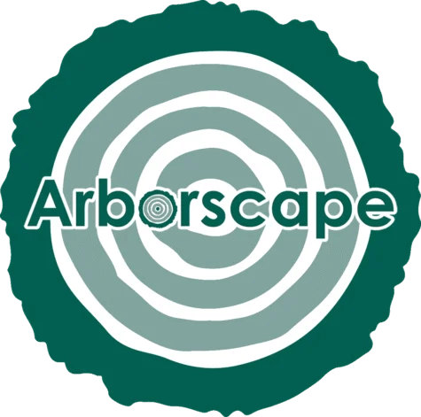 Site Clearance Services Cumbria